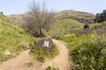 The hiking trail passes near the river Tabor, in the Galilee, near the Afula city, in northern Israel Royalty Free Stock Photo