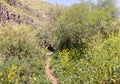 The hiking trail passes near the river Tabor, in the Galilee, near the Afula city, in northern Israel Royalty Free Stock Photo