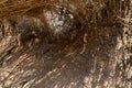 The hiking trail passes near the river Tabor, in the Galilee, near the Afula city, in northern Israel Royalty Free Stock Photo