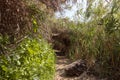 The hiking trail passes near the river Tabor, in the Galilee, near the Afula city, in northern Israel Royalty Free Stock Photo