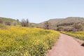 The hiking trail passes near the river Tabor, in the Galilee, near the Afula city, in northern Israel Royalty Free Stock Photo