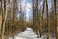 A hiking trail passes through a snow-covered forest.