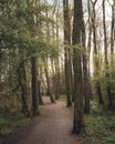 A hiking trail passes through a wooded area in southern Sweden called Svaneholm