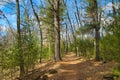 A hiking trail passing through the forest in Springtime Royalty Free Stock Photo