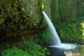 Upper Horsetail Falls, Columbia River Gorge, Oregon Royalty Free Stock Photo