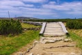 Hiking trail in peatbog in Giant Mountains Royalty Free Stock Photo