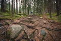 Hiking trail through overgrown in tree roots, with hiker in the distance