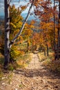 Hiking trail in polish mountains Beskidy. Path leading down from the Rysianka Mountain through the autumn trees. Mountain valleys Royalty Free Stock Photo