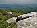 Pisgah National Forest