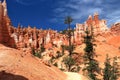 Bryce Canyon National Park, Trail through Hoodoos in Queens Garden, Southwest Desert, Utah, USA Royalty Free Stock Photo