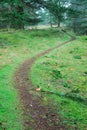 Hiking trail in rain forest Royalty Free Stock Photo