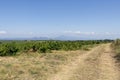 Hiking trail in the region of Mont Ventoux mountain and Dentelles de Montmirail chain of mountains Royalty Free Stock Photo