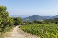 Hiking trail in the region of Mont Ventoux mountain and Dentelles de Montmirail chain of mountains Royalty Free Stock Photo