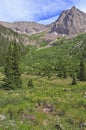 Hiking Trail into the Rocky Mountains, USA Royalty Free Stock Photo