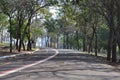 Hiking trail and running in park Royalty Free Stock Photo