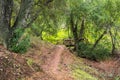 Hiking trail in Santa Teresa County Park, San Jose, Santa Clara county, California Royalty Free Stock Photo