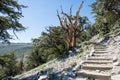 Hiking trail through the Schulman Grove in Ancient Bristlecone Pine Forest Royalty Free Stock Photo