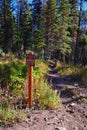 Hiking Trail Sign Bear Canyon Trail by Timpanogos, Wasatch Range Rocky Mountains, Utah. Royalty Free Stock Photo