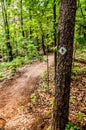 Hiking trail sign on the forest Royalty Free Stock Photo