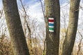 Hiking trail signs on tree trunks Royalty Free Stock Photo