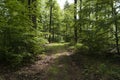 On the Hiking Trail Spessartweg