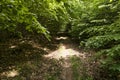 On the Hiking Trail Spessartweg