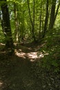 On the Hiking Trail Spessartweg