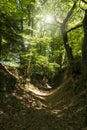 On the Hiking Trail Spessartweg