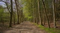 hiking trail through a sunny spring forest in the flemish countryside Royalty Free Stock Photo