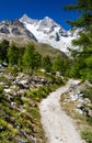 Hiking trail in Switzerland Alps