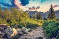 Hiking trail in Tatra mountains in Poland Royalty Free Stock Photo