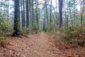 Hiking Trail to the Aldridge Saw Mill Royalty Free Stock Photo