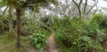 Hiking trail to canyon Trou de Fer at island La Reunion Royalty Free Stock Photo