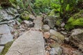 Hiking trail to Casaroro Falls in Valencia, Negros island, Philippin