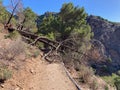 Hiking trail to Colgante bridge (Puente Colgante El Saltillo)