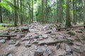 Hiking trail to Lysica in the Swietokrzyskie Mountains in Poland Royalty Free Stock Photo
