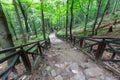 Hiking trail to Lysica in the Swietokrzyskie Mountains in Poland Royalty Free Stock Photo