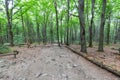 Hiking trail to Lysica in the Swietokrzyskie Mountains in Poland Royalty Free Stock Photo