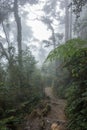 Hiking trail to the summit of Mount Kinabalu, the highest mountain Malaysia