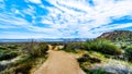 Hiking Trail to Tom`s Thumb in the McDowell Mountain Range near Phoenix Royalty Free Stock Photo