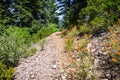 Hiking trail to the top of Black Butte, close to Shasta Mountain, Siskiyou County, Northern California