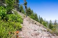 Hiking trail to the top of Black Butte, close to Shasta Mountain, Siskiyou County, Northern California Royalty Free Stock Photo