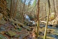 Hiking trail to the waterfall