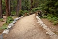 Hiking trail to a wooden bridge Royalty Free Stock Photo