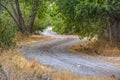 Hiking trail view in the forest of Provo Utah Royalty Free Stock Photo