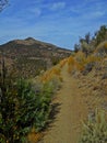 Hot Hike in the High Desert Royalty Free Stock Photo