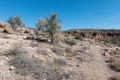 White Cliffs Wagon Trail, Arizona