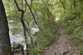 Hiking trail winding along the banks of a spring-fed stream in the Missouri Ozarks