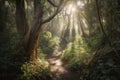 hiking trail winding through magical forest, with sunlight filtering through the trees