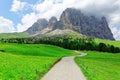 A hiking trail winding thru green grassy fields & wild flowers blooming on the meadows Royalty Free Stock Photo